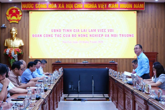 Bộ Nông nghiệp và Môi trường xác minh khiếu nại của 3 công dân tại Gia Lai