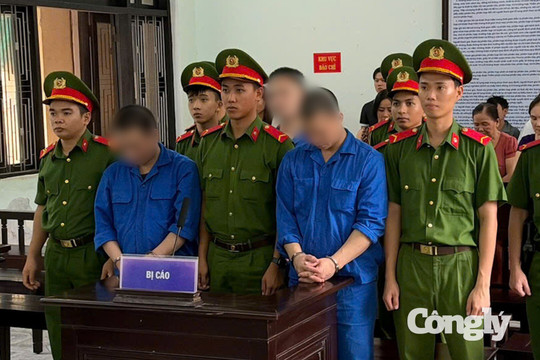 Ba bị cáo lĩnh hơn 51 năm tù vì ma túy