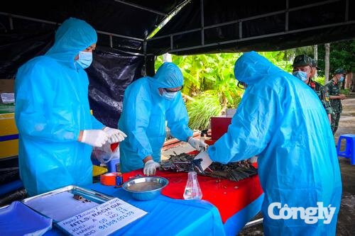 An Giang: Tăng tốc thực hiện chiến dịch trả lại tên cho liệt sĩ vô danh