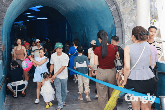 Du lịch tàu biển Khánh Hòa tăng tốc