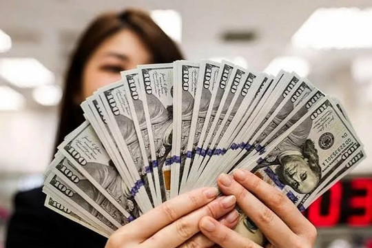 Tỷ giá ngoại tệ ngày 29/9: Giá USD ngân hàng duy trì đà biến động hẹp