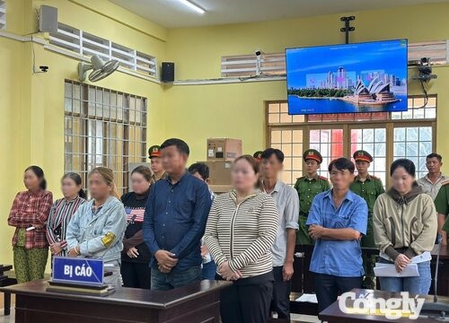 Vợ chồng cùng lĩnh án tù vì tổ chức đánh bạc