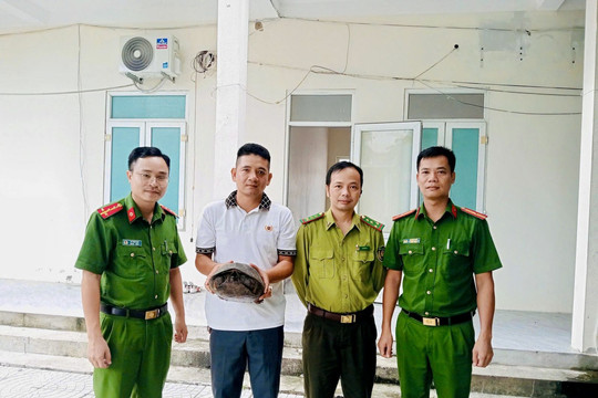 Thả cá thể rùa đất quý hiếm về tự nhiên