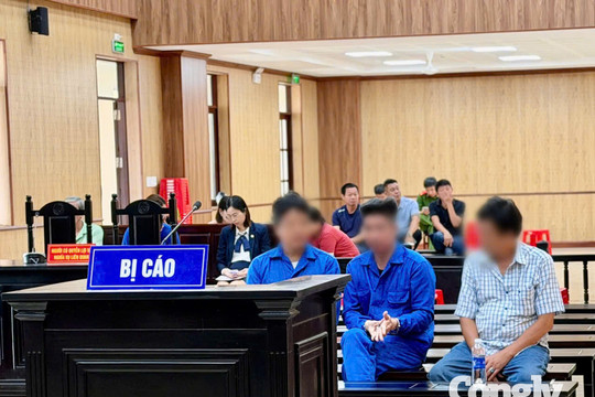 Làm giả hồ sơ hợp thức hóa hơn 43.000m² đất công: Tòa trả hồ sơ điều tra bổ sung