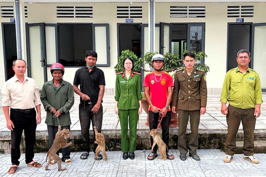 Người dân tự nguyện giao nộp 4 cá thể khỉ đuôi lợn