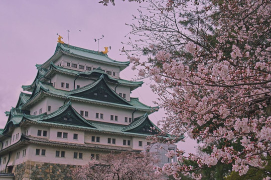 Khám phá Nagoya: Những điểm tham quan nổi bật không thể bỏ qua