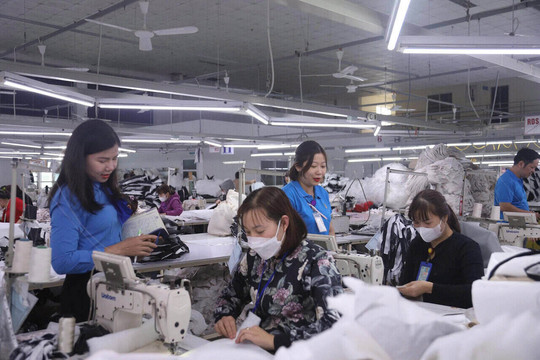 Phú Thọ: Doanh nghiệp mở rộng, việc làm bền vững rộng cửa