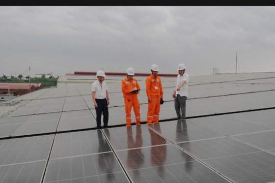 Hải Phòng phát triển điện mặt trời mái nhà, năng lượng xanh