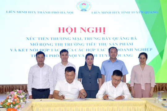 Tuyên Quang tăng kết nối thị trường, mở rộng đầu ra cho nông sản và sản phẩm OCOP