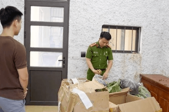 Khởi tố người bán thảo mộc quảng cáo sai công dụng sản phẩm