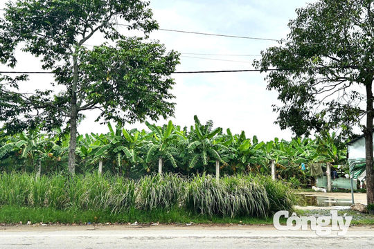 Xã Trần Đề (TP Cần Thơ): Cần sớm giải quyết tranh chấp đất đai, đảm bảo quyền lợi của người dân