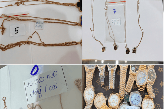 Khởi tố Giám đốc Công ty Dwatch về tội “Xâm phạm sở hữu công nghiệp”