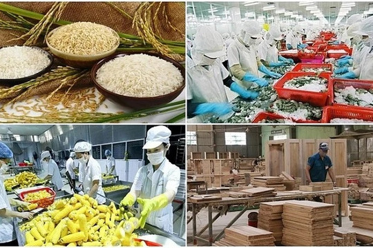 Nông, lâm, thủy sản 9 tháng xuất siêu gần 17 tỷ USD
