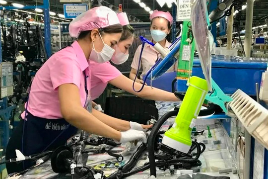17/34 địa phương tăng trưởng từ 10% trở lên trong quý III/2026