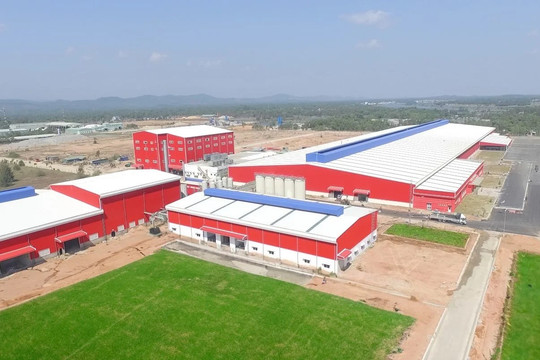 Dấu ấn kinh tế tư nhân khi Đà Nẵng mở rộng không gian tăng trưởng