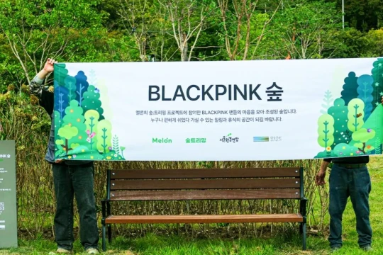 Những khu rừng Big Bang, Blackpink và SHINee phủ xanh ở Seoul