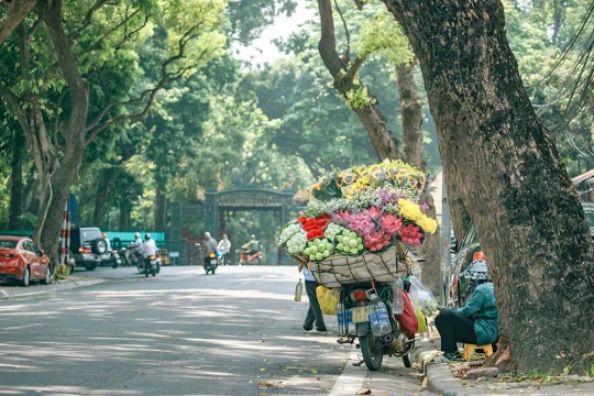 Thời tiết ngày 15/10: Miền Bắc nắng ráo, nhiều nơi có sương mù sáng sớm