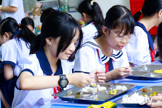 TP.HCM kiểm soát chuỗi cung ứng suất ăn học đường