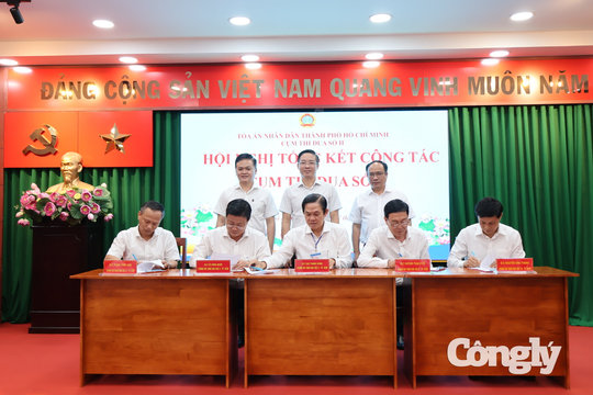 Cụm thi đua số II TAND TP.HCM: Nỗ lực vượt khó, hoàn thành xuất sắc nhiệm vụ