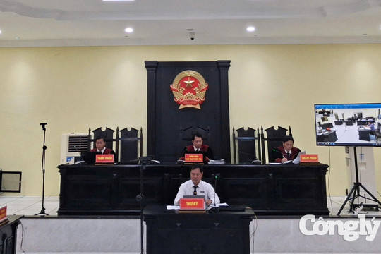 Tòa Hành chính TAND tỉnh Cà Mau: 100% án được giải quyết đúng hạn