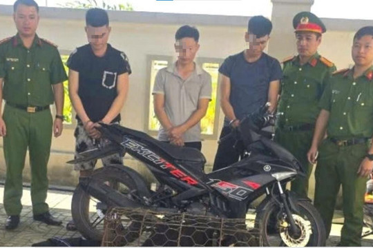 Khởi tố 3 đối tượng trộm chó bằng súng điện tự chế