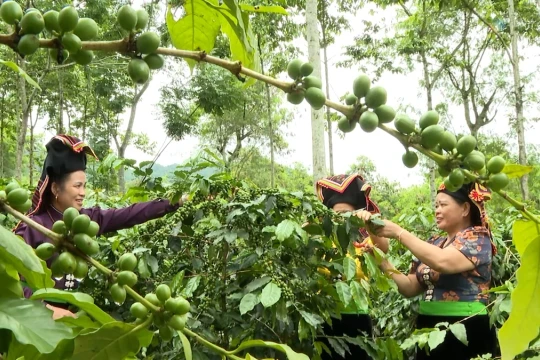 Điện Biên đặt mục tiêu tăng trưởng GRDP 13,97% trong quý cuối năm