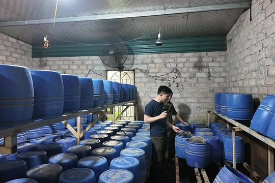 Quảng Ninh thu giữ hơn 100 tấn thực phẩm bẩn, kém chất lượng