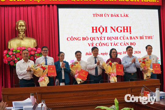 Chánh án TAND tỉnh Đắk Lắk tham gia Ban Chấp hành Đảng bộ tỉnh