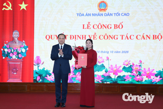 Bổ nhiệm Phó Vụ trưởng Vụ Giám đốc, kiểm tra về hình sự