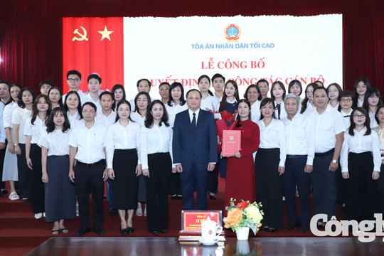 Bổ nhiệm Phó Vụ trưởng Vụ Giám đốc, kiểm tra về hình sự