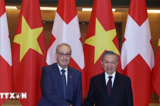 Tổng Bí thư, Chủ tịch nước Tô Lâm hội đàm với Tổng thống Thụy Sĩ Guy Parmelin
