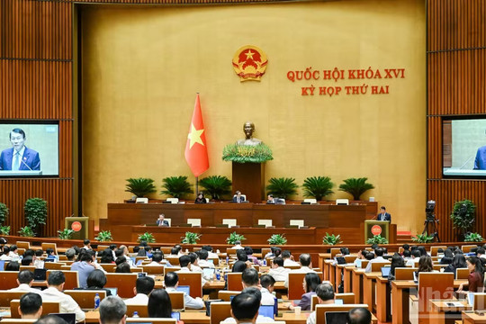 Quốc hội thảo luận dự án Bộ luật Hình sự (sửa đổi)