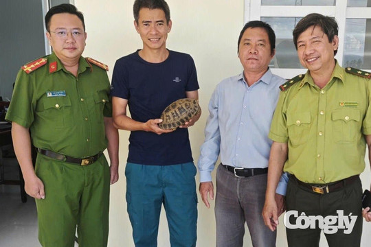 Người dân tự nguyện giao nộp cá thể rùa núi vàng quý hiếm