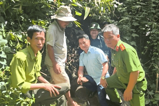 Người dân bàn giao rùa núi vàng đi lạc
