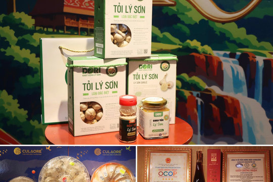Đặc sản Gia Lai, Quảng Ngãi lên sàn thương mại số tại Tràng Tiền