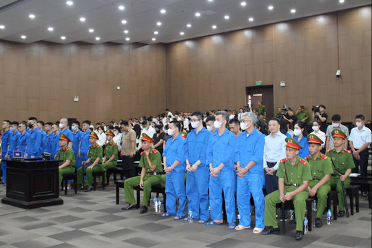 Gần 200 luật sư cùng hàng trăm bị hại và người liên quan tham gia phiên tòa xét xử Mr Pips