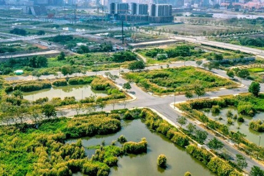 Chào giá tư vấn xác định giá đất tại KCN Tân Bình và khu đất 3.657m² ở Bình Chiểu