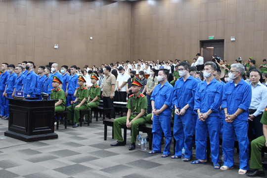 Vụ Mr Pips, Shark Bình: Nhân viên nhận thưởng hàng chục tỷ đồng từ tiền đầu tư