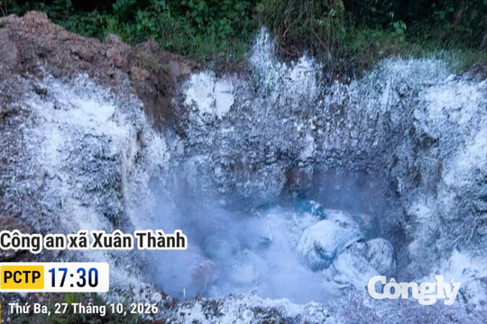 Phát hiện xe tải chở gần 1 tấn gà chết, bốc mùi hôi thối