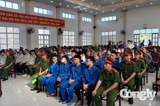 Cái giá cho hành vi coi thường pháp luật