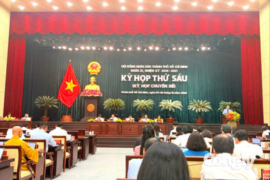 HĐND TP.HCM bàn quy hoạch thành phố tầm nhìn thế kỷ