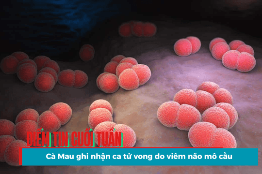 Điểm tin cuối tuần: Cà Mau ghi nhận ca tử vong do viêm não mô cầu