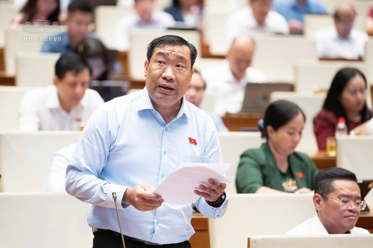 Đại biểu Quốc hội đề nghị hoàn thiện cơ chế thực hiện dân chủ trên nền tảng số