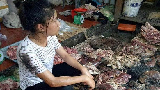 Xét xử vụ đổ dầu nhớt bẩn vào hàng thịt lợn ở Hải Phòng