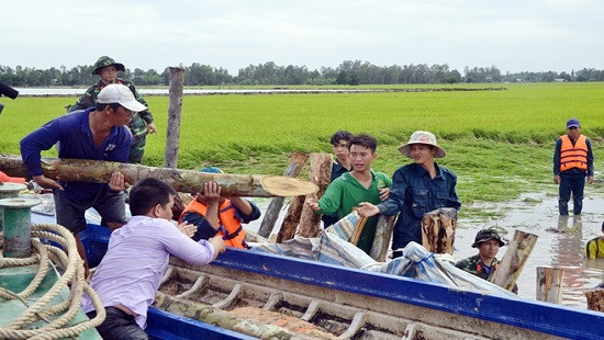 Dồn sức đắp đê, ngăn lũ cứu lúa tại An Giang