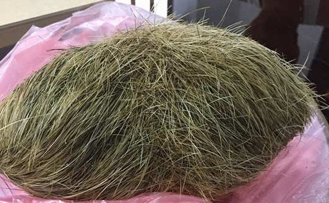 Ngày xuân kể chuyện vui về "trư cát"