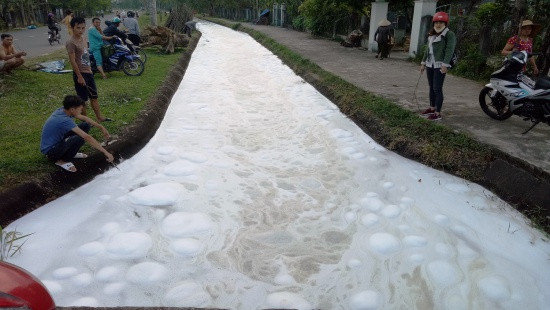 Hé lộ nguyên nhân bất ngờ làm kênh thuỷ lợi nổi bọt trắng xoá, cá chết la liệt