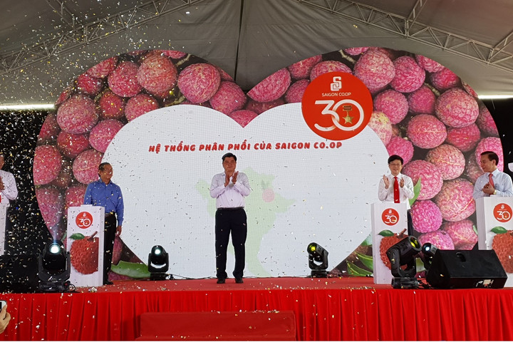 500 tấn vải thiều Lục Ngạn chính gốc chính thức có mặt tại chuỗi bán lẻ Saigon Co.op