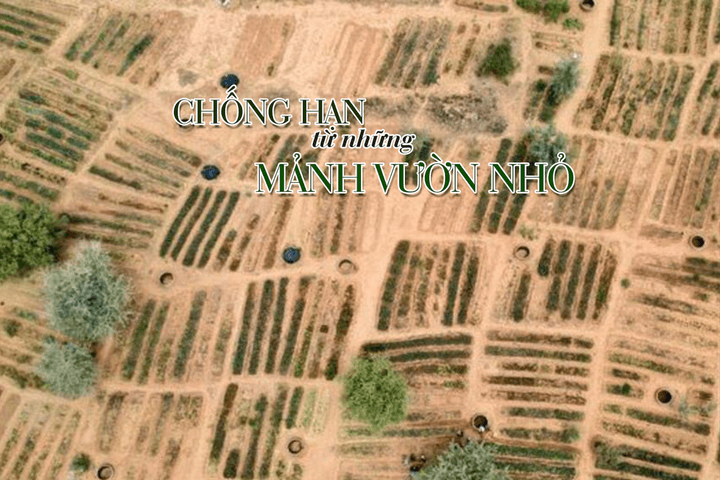 Phụ nữ Niger chống hạn từ những mảnh vườn nhỏ