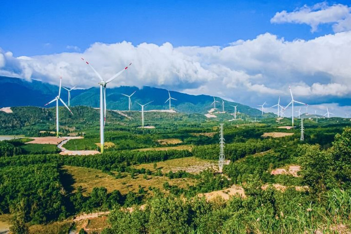 GELEX khuyến cáo nhà đầu tư cảnh giác trước những tin đồn sai sự thật